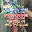 강원주유소세차장 이미지