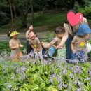 고산골 4 이미지