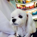 장어먹자 이미지