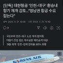 [단독] 대한항공 ‘인천-대구’ 환승내항기 재개 검토…“영남권 항공 수요 잡는다” 이미지