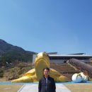 신림사 이미지