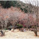 통나무펜션&편백쉼터 | 장성펜션 추천 통나무펜션&amp;편백쉼터 이용후기 장성가족펜션