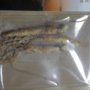 삼차농장 이미지