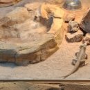 양서·파충류생태공원 2층 이미지