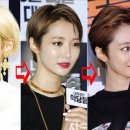 B&B헤어코디 이미지