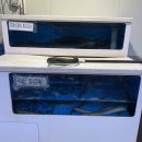 일루장어 이미지