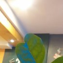 스마일문구분식 이미지