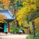 오대산서울 이미지