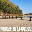 삼척 덕봉산 외나무다리 이미지