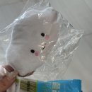 코지펫살롱 이미지