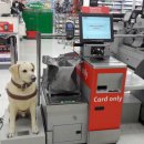 시드니동물병원 이미지