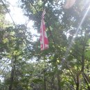 무정초교 이미지