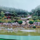 대구내서초등학교 이미지