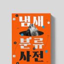 가게 꿈 과일가게 꿈 생선가게 꿈 옷가게 꿈 신발가게 꿈 이미지