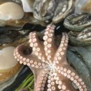 손칼국수 명가 이미지