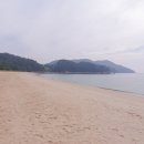 때뿌루민박 이미지