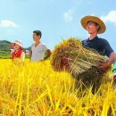 천풍농장 이미지