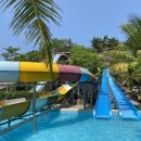 썬파크장 이미지