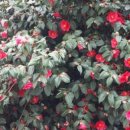 대구고성동우체국 이미지