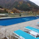 비브릿지 이미지