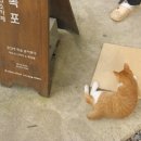 당근빈티지