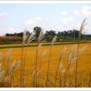 이천농원 이미지