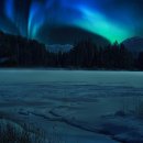 숲속의집 이미지