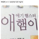 알유