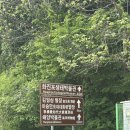 49 | 알레(ALLE) 해파랑길49코스 후기