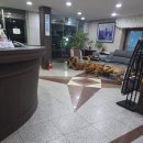 [속초]송월파크:설악산 근처 오래된 수학여행 감성 가성비 숙소