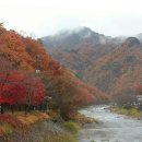 무 진 정 이미지