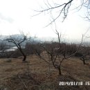 일광1리 이미지