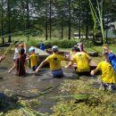 칠서초등학교 이미지