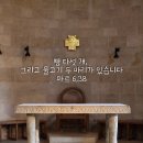 물고기두마리