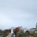 스테이 도채비꽃 이미지