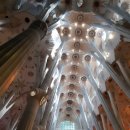 사그라다 파밀리아 성당 내부 사진들 이미지