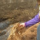 갈골농원 이미지