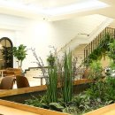 강남-260 이미지