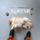견궁 이미지