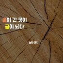 마인드플레이스 네이버블로그