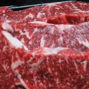 아시아드나이트 이미지