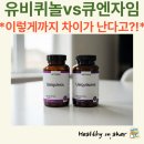유비큐