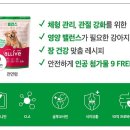 자매체형관리 네이버블로그