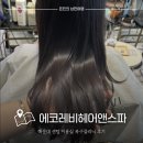 에코레비헤어앤스파 해운대 센텀 미용실 복구클리닉 후기