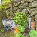 스테이오별 이미지