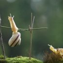 제라피트니스 이미지