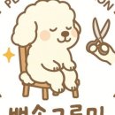 뽀송그루밍 이미지