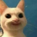 다이어트주유소 이미지