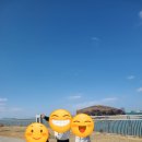 젤리엘, 쁘띠엘 | 대부도 온수풀빌라 가족독채펜션 워크샵 쁘띠엘