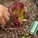 성동느티나무장애인자립생활센터 이미지